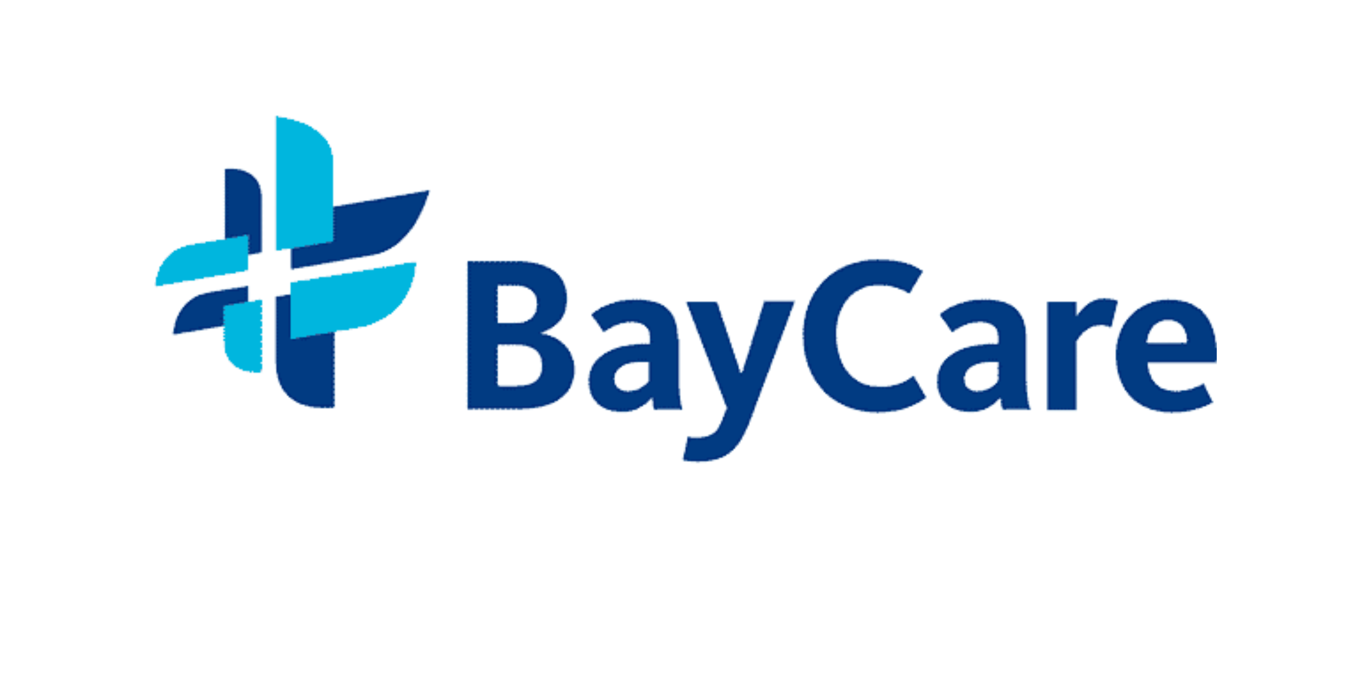 BayCare Health System’s Amy Wyrick and Stephanie Clemson discuss the development and success of their BayCare Canine Cam video series on Facebook