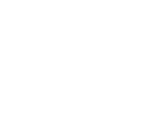 Digital Marketing & Communications Council